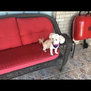 Meet your Posher, Ashley